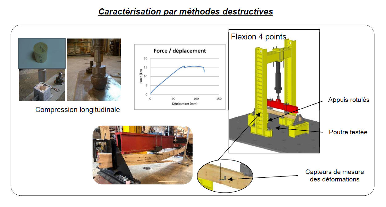 Caractérisation des propriétés mécaniques du bois dit « parfait » par des méthodes non destructives à une échelle macroscopique